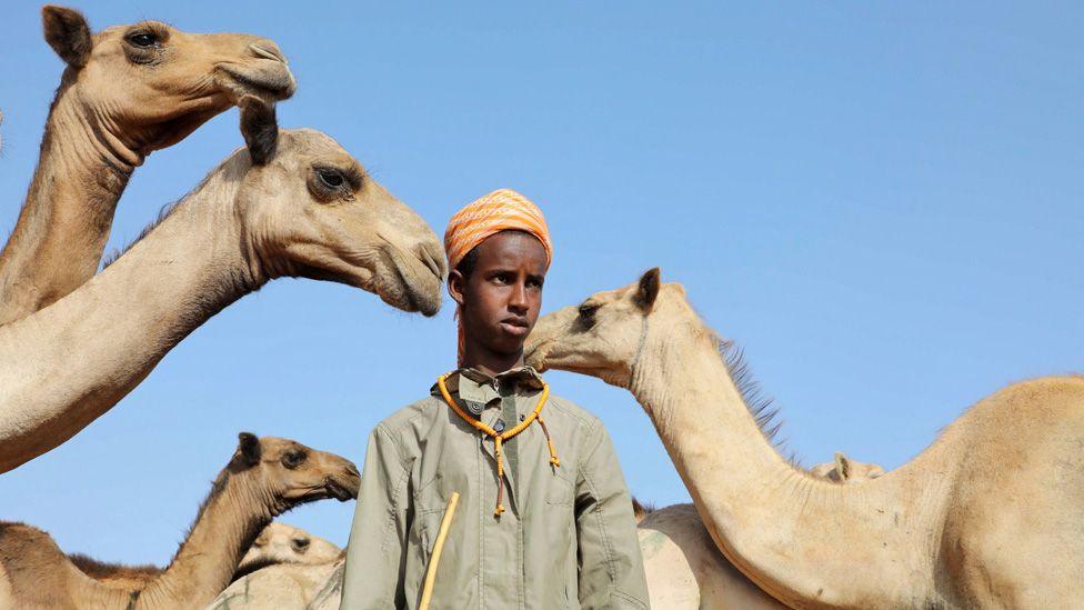 A young camel herder stands against a blue sky wearing an orange turban and orange necklace over a khaki jacket surrounded by camels - Mogadishu, Somalia, Tuesday 2 September 2025.