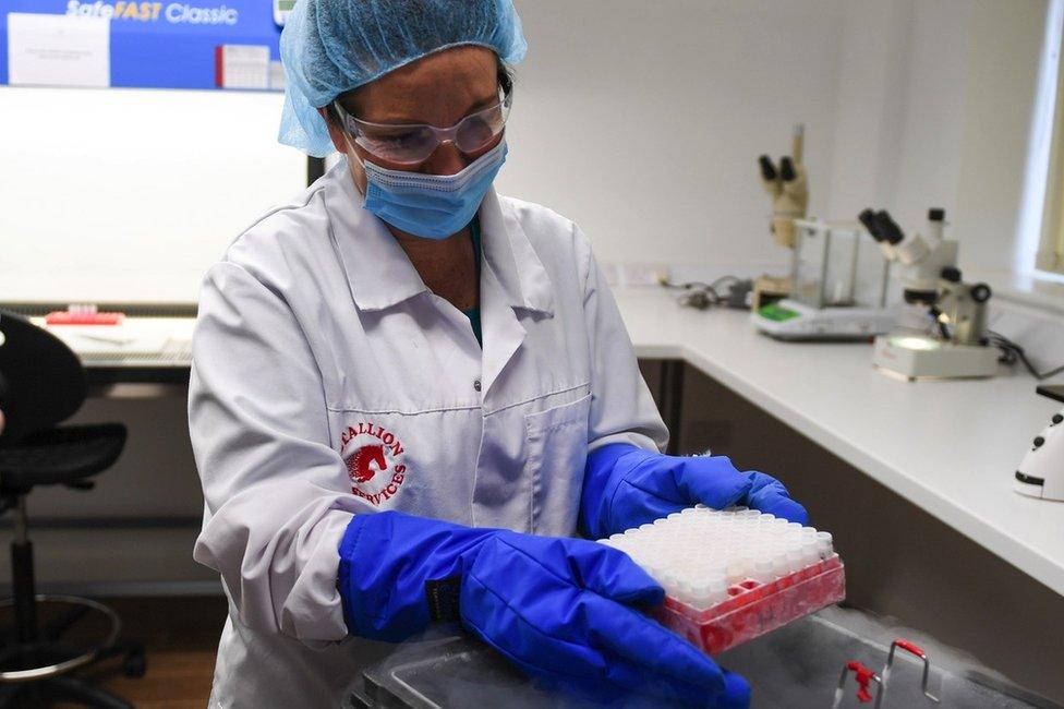 A scientist holds tissue vials over a canister of liquid nitrogen