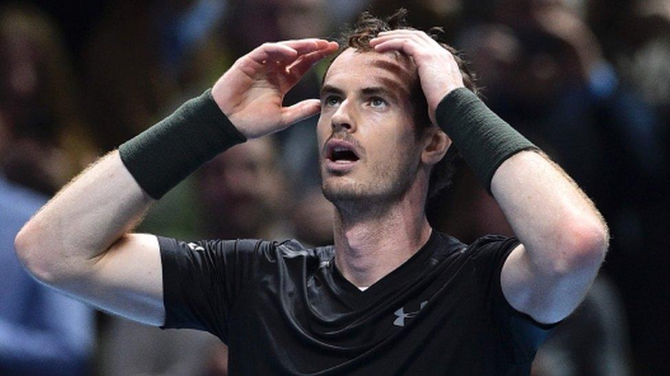 andy murray celebrates