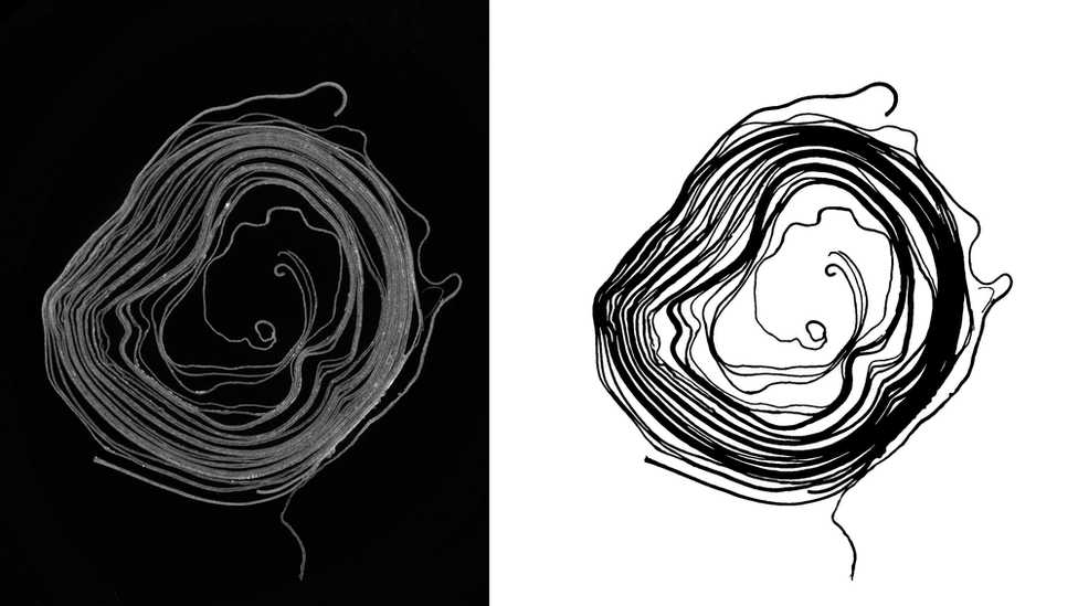 A picture of the X-ray tomography technique used on the scroll