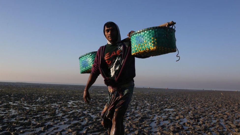 Fisherman carries fish, walks along a muddy beach to sell them at a market in Chittagong, Bangladesh on January 7, 2019.