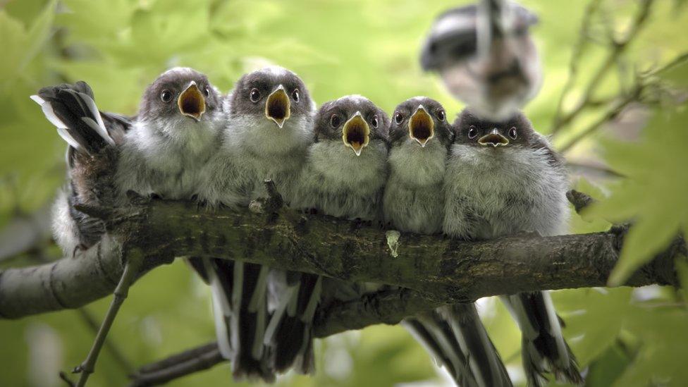 national-photographer-of-the-year-2019