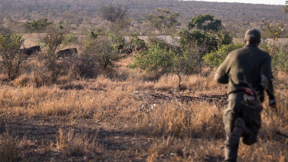 Ranger at Kruger National Park