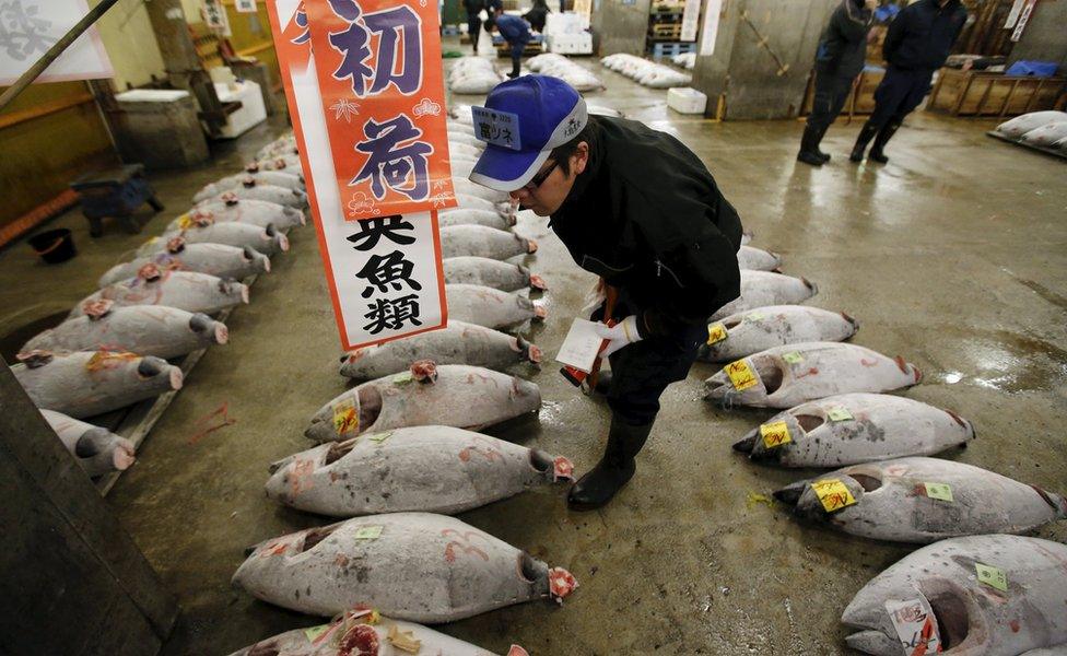 Potential buyer inspecting the fish