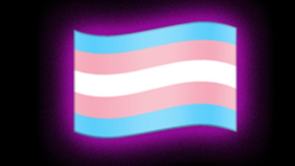 transgender-flag.