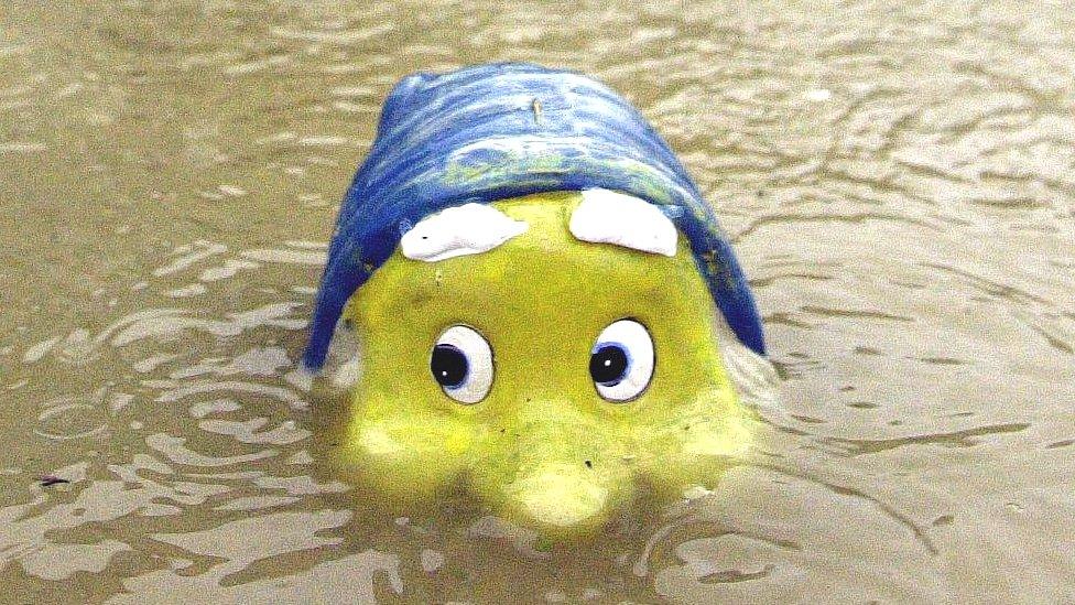 Gnome in the water