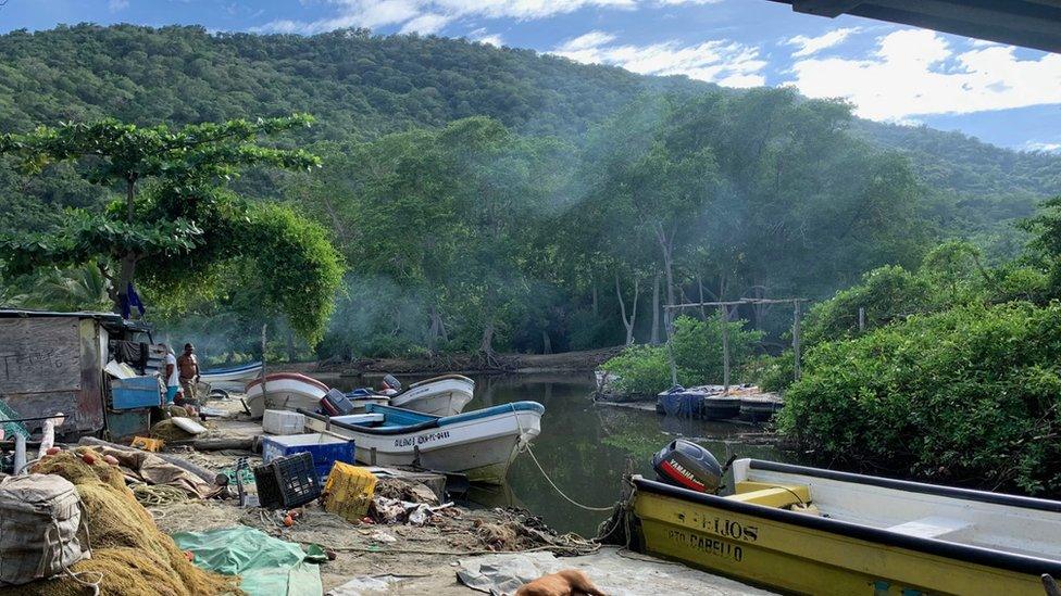 Vie of fishing boats in Patanemo bay, Venezuela