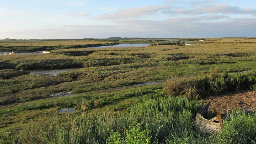 Scolt Head Island and marshes at Brancaster Staithe