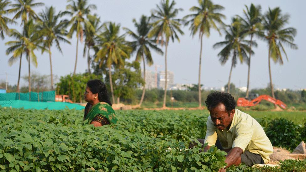 Muniraju Venkataswamy and wife Meenakshi sold their farm in Ramagondanahalli