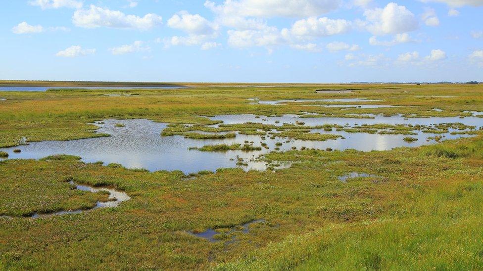 River Ore salt marsh and Orford Ness spit, looking north towards Orford, Boyton, Suffolk, England