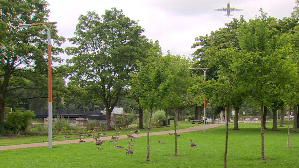 A plane flying over geese at Victoria Park