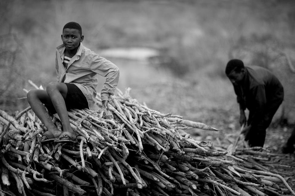 Aniceto sitting on top of a pile of firewood