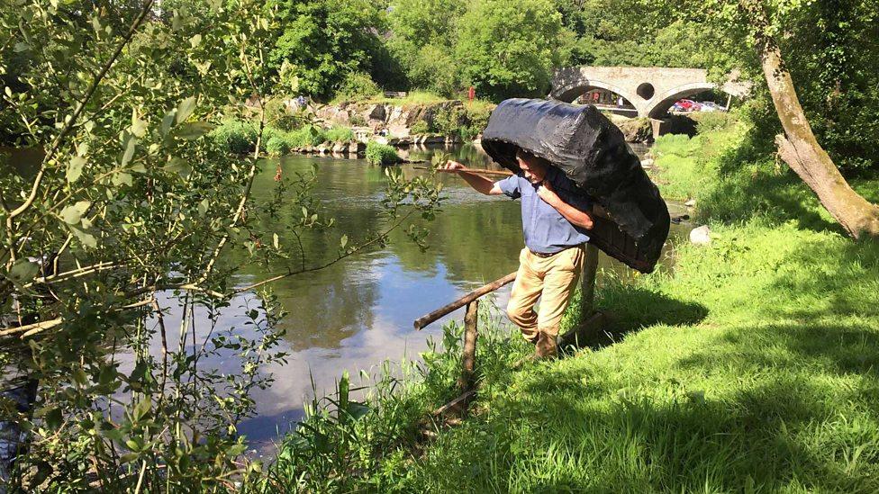 Mae coryglau dal yn cael eu defnyddio ym mhentref Cenarth, Sir Benfro