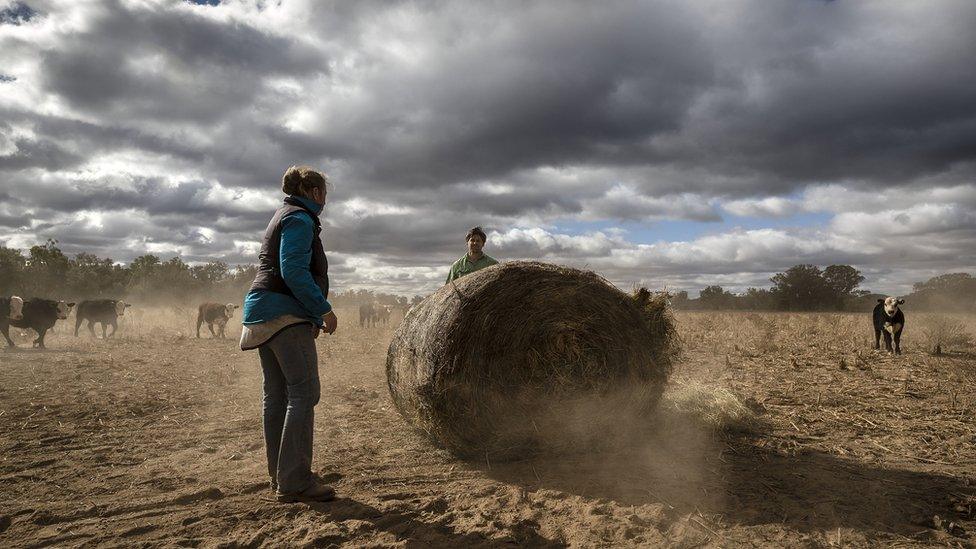 Jess and Robert Taylor, 4th generation farmers, at work on the family farm. In the Central Western region of New South Wales