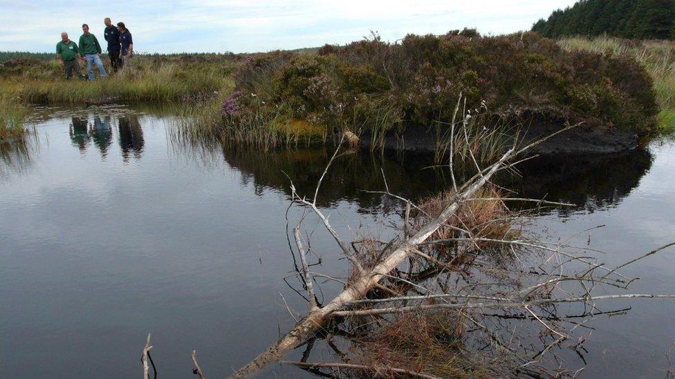 Bellgrag Flow mire, near Stonehaugh