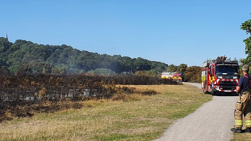 A firefighter stands next to a field of burnt crop