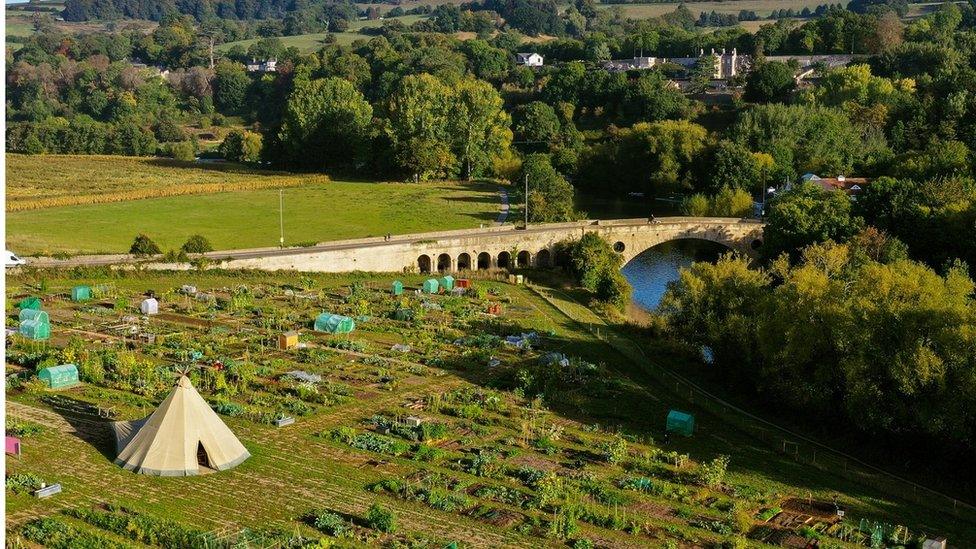 An aerial photo of a Roots allotment site in Bath