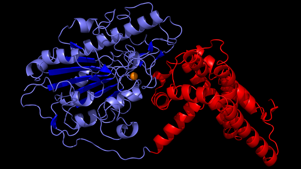 A digital representation of the EptA protein structure