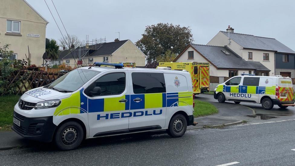 Ambulance and police cars parked outside a street with cream houses