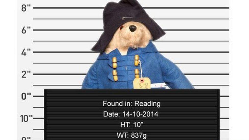 Paddington bear