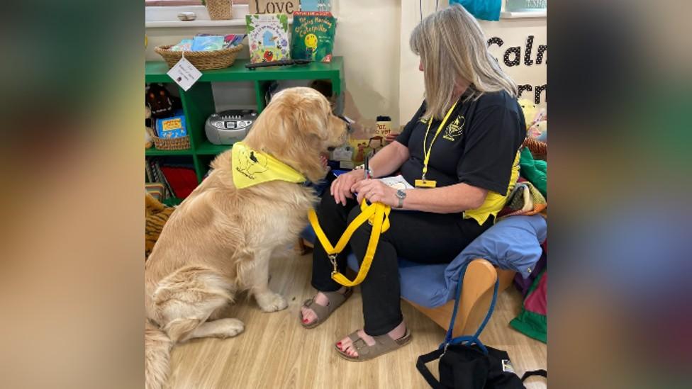 Findlay as a therapy dog