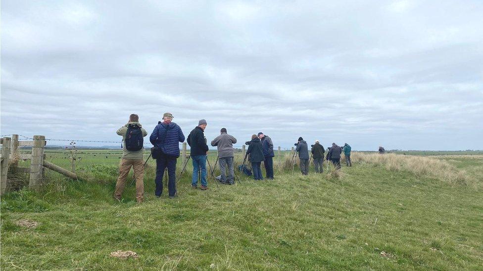 Birdwatchers at High Newton