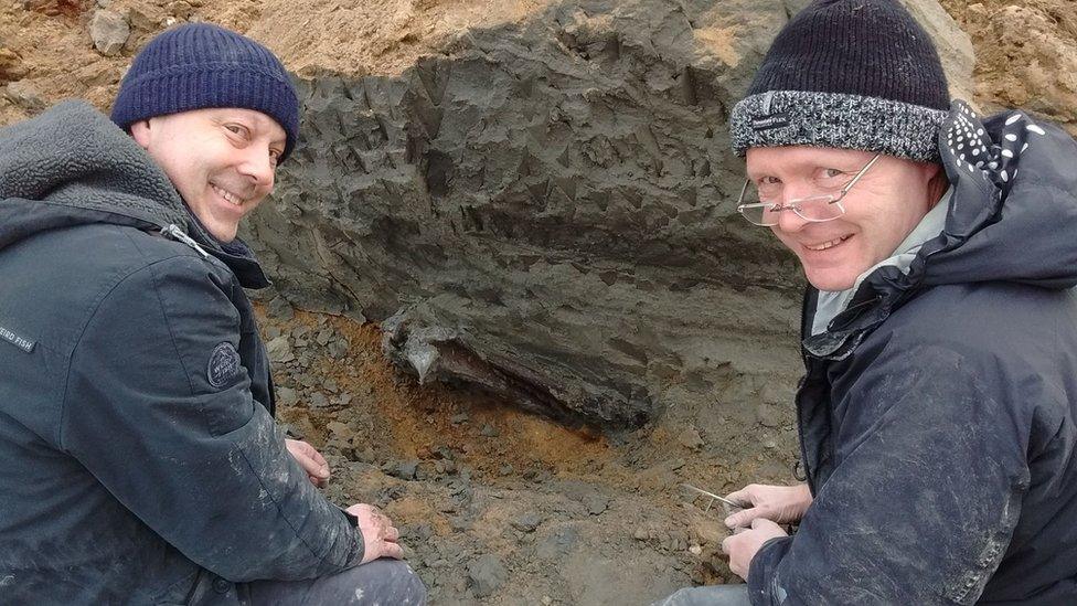 The excavation of an ancient deer on the Isle of Man