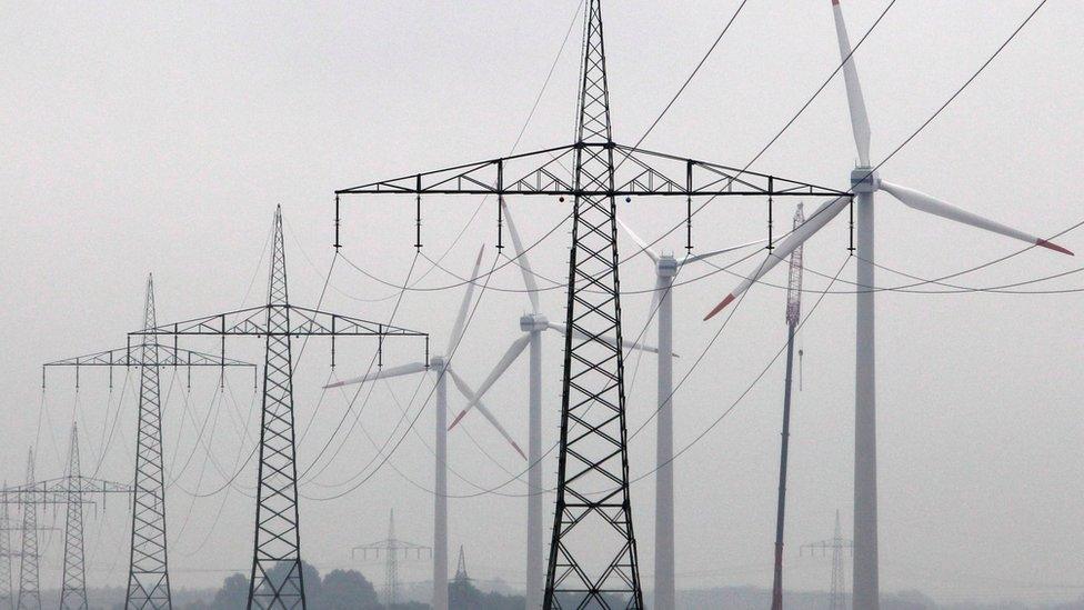 Electricity pylons and wind turbines (Image: Reuters)