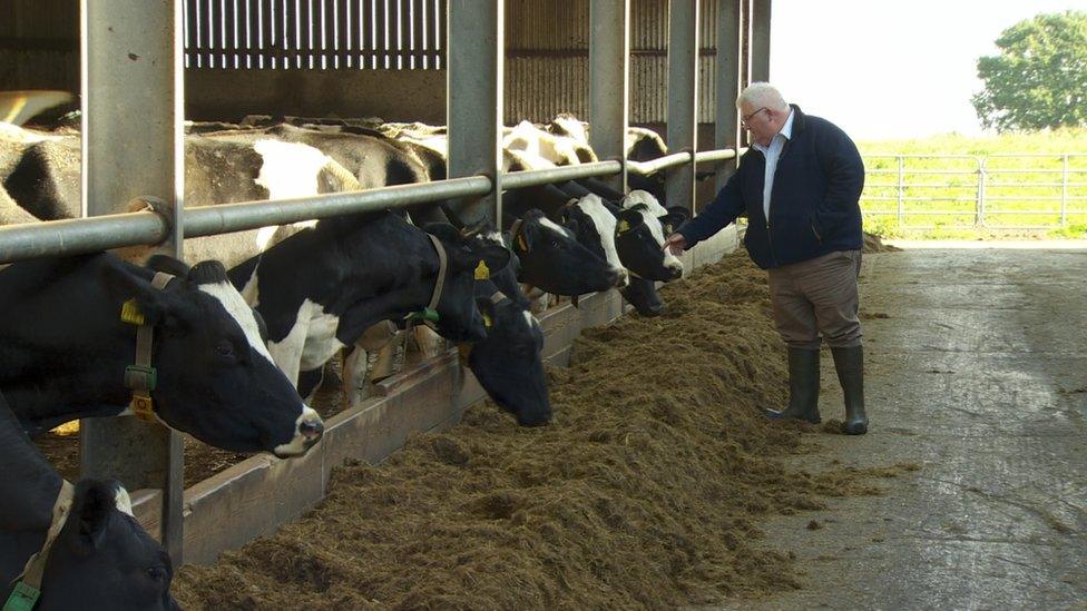 Charlie Weir inspects his cows