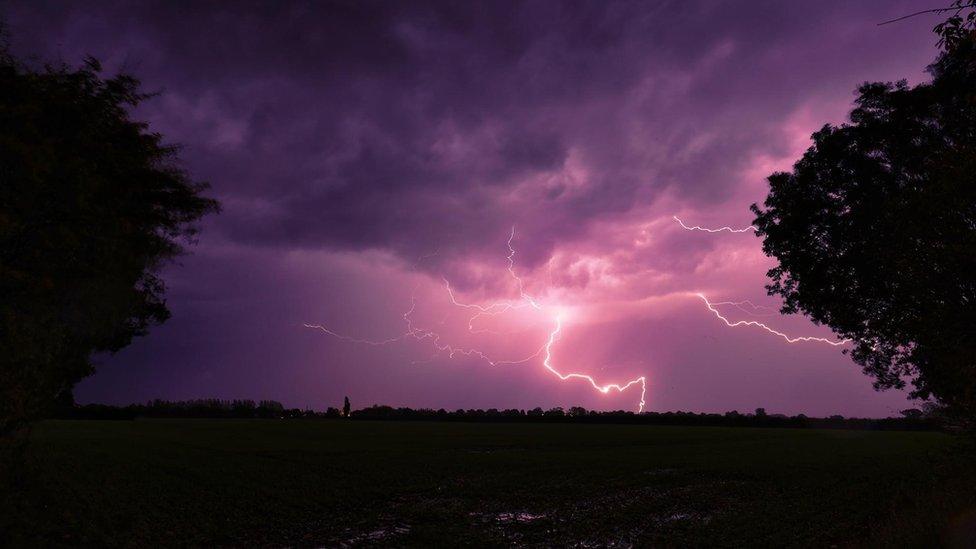 Lightning at night coming down from a pink and purple sky