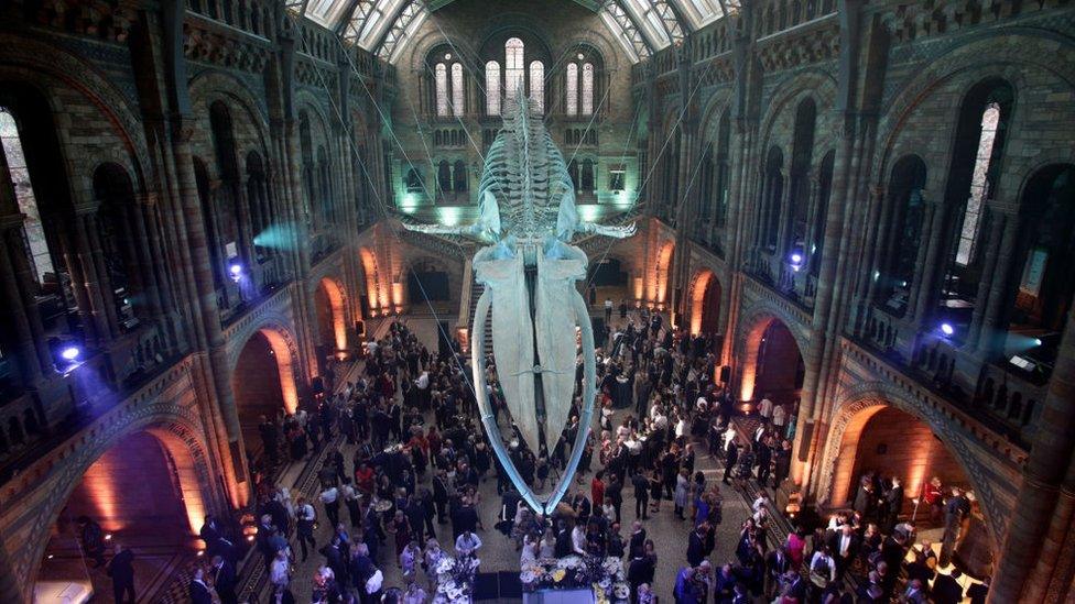 Guests mingle below a blue whale skeleton named Hope