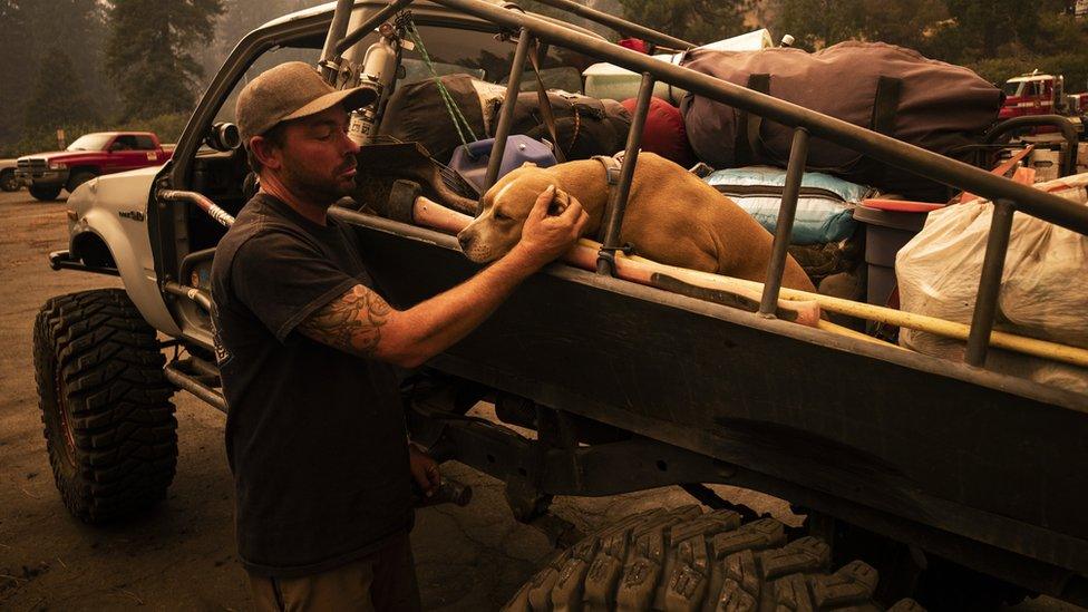 A person interacts with his dog, during preparations for evacuation in California.