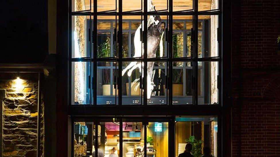 The taxidermied cow hanging from the ceiling at Etica restaurant in Adelaide