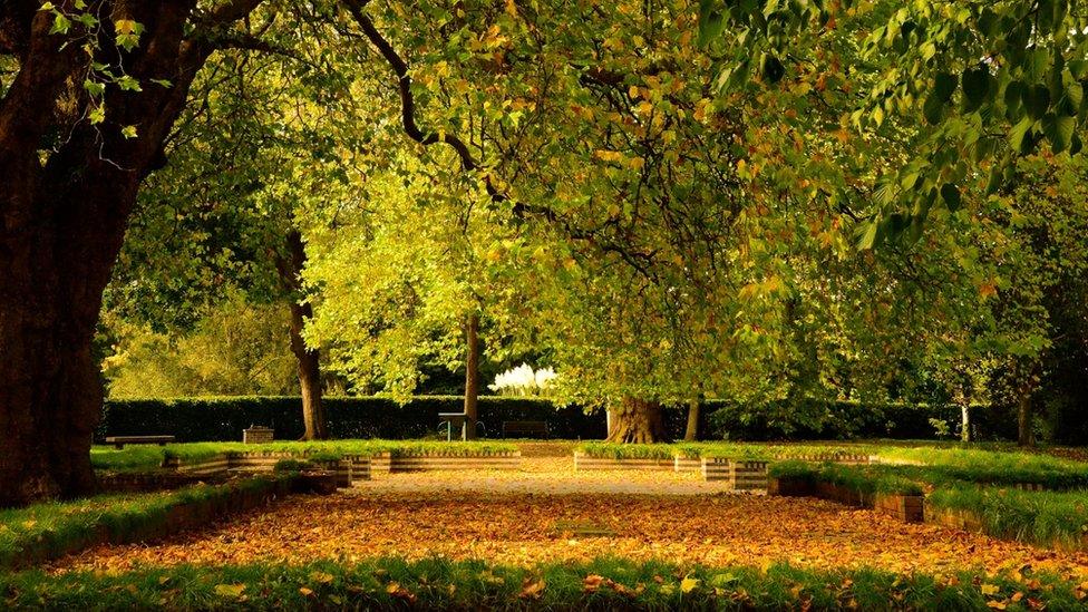 Bute Park, in Cardiff, by Rebecca Jones