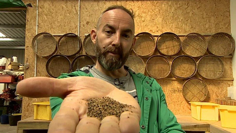 David Gregory-Kumar holding aspen tree seeds in the palm of his hand