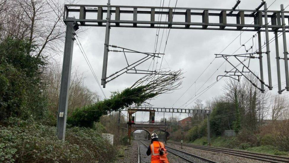 A tree on overhead railway lines between Stockport and Manchester