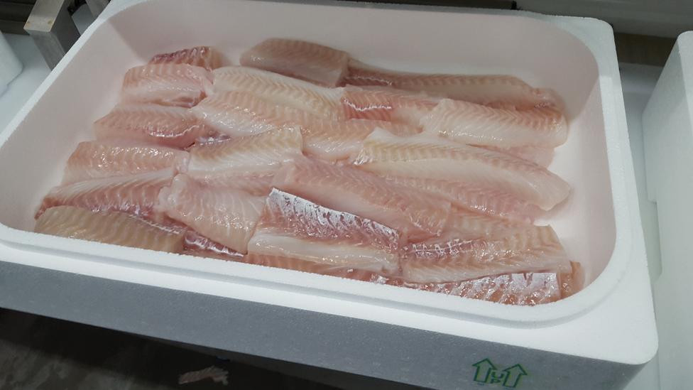 Cod fillets