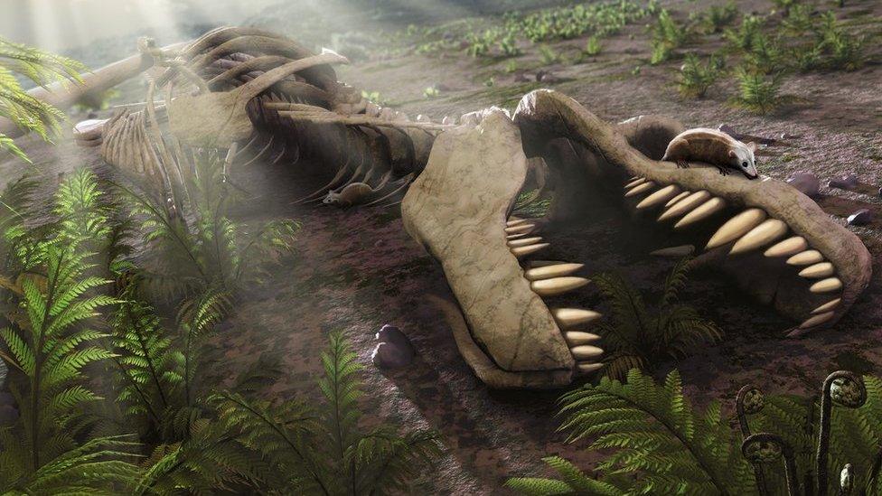 Dead TREX