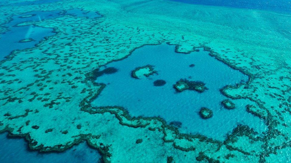 Aerial view of a coral reef