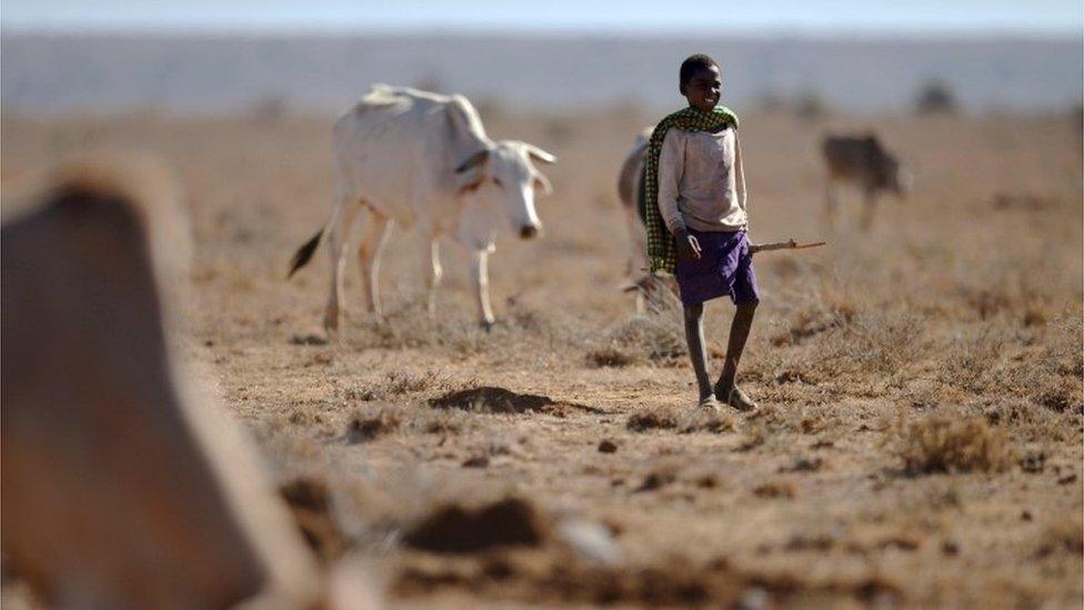 Samburu herdsman