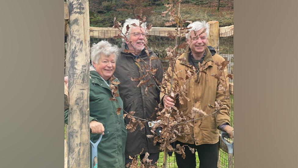 Three people stood behind newly planted tree