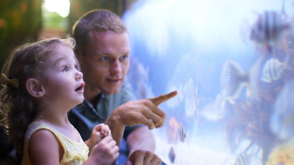 Visitors at an aquarium