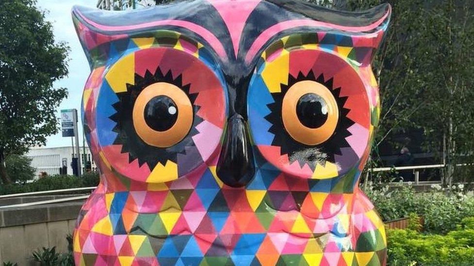 A colourful owl with a park in the background