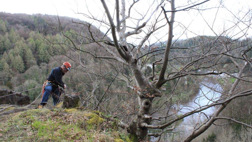 Climber on Symonds Yat