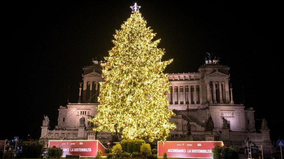 large christmas tree in rome, italy