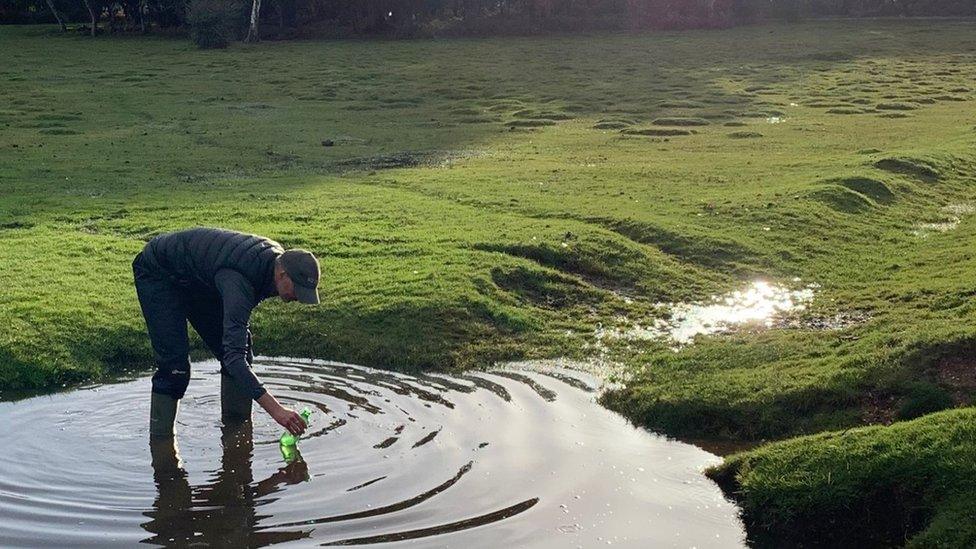 Wild New Forest water sampling