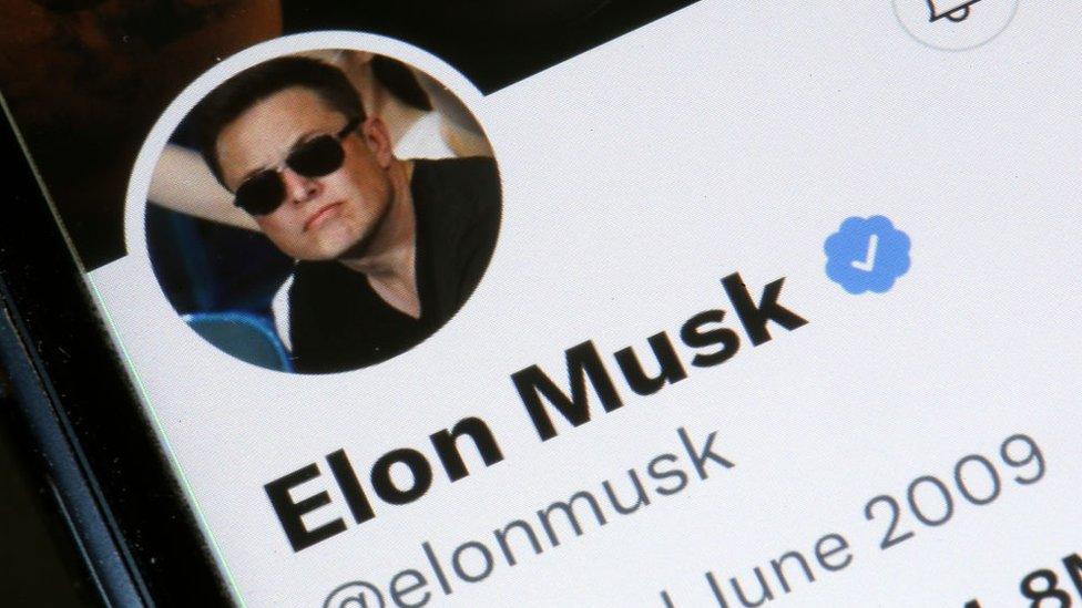 Elon Musk asks public if he step down as head of social media platform Twitter.