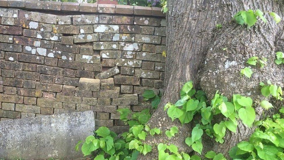 Blandford Cemetery wall