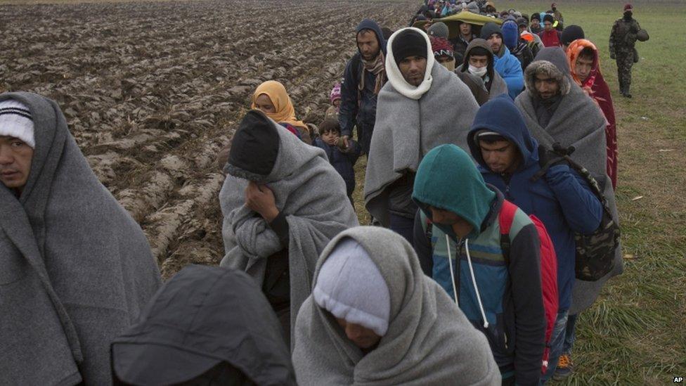 Migrants walk through a field in Slovenia