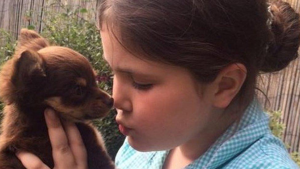 Lexie Taylor with Caramel the Chihuahua